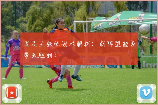 国足主教练战术解析：新阵型能否带来胜利？